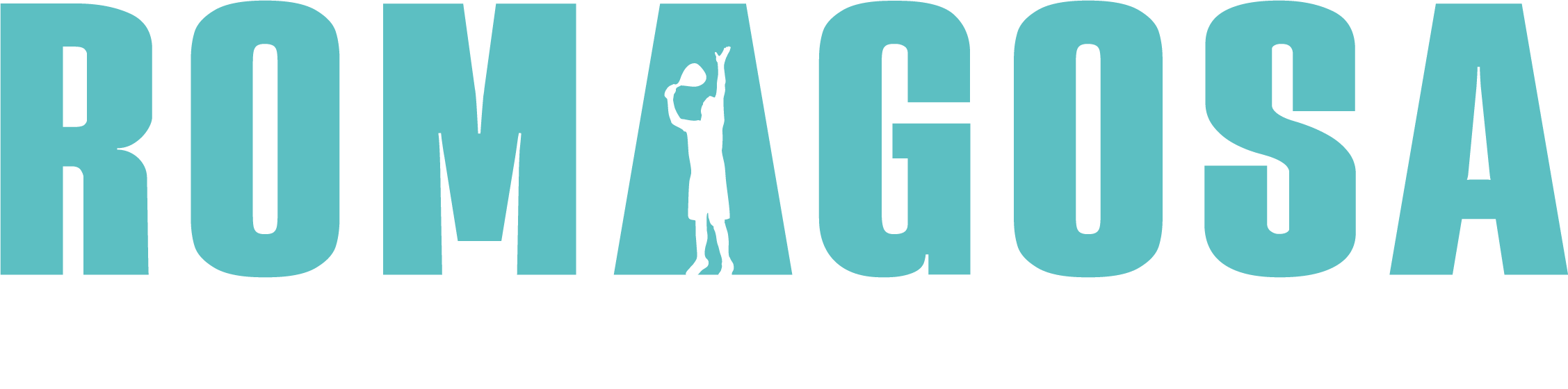 Romagosa Padel Academy
